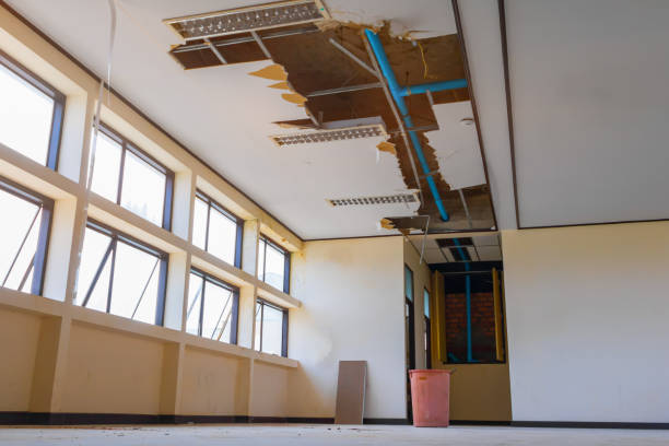 Best Water damage contractors near me  in East Hampton North, NY