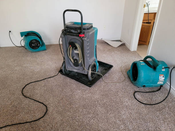 Best Professional water damage repair  in East Hampton North, NY