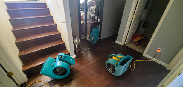 Best Water damage restoration company  in East Hampton North, NY